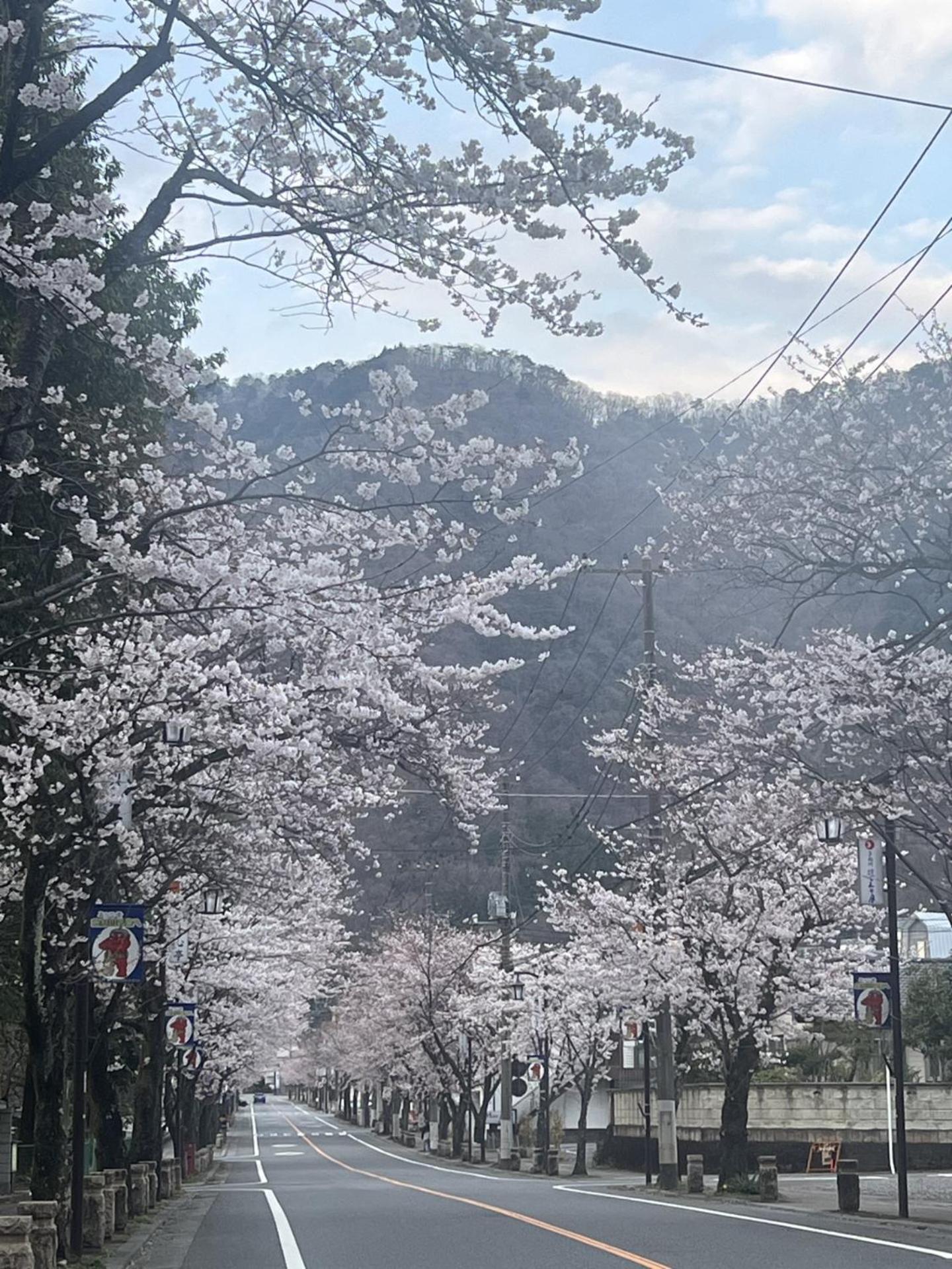 Kinugawa Keisui Hotel Нико Екстериор снимка