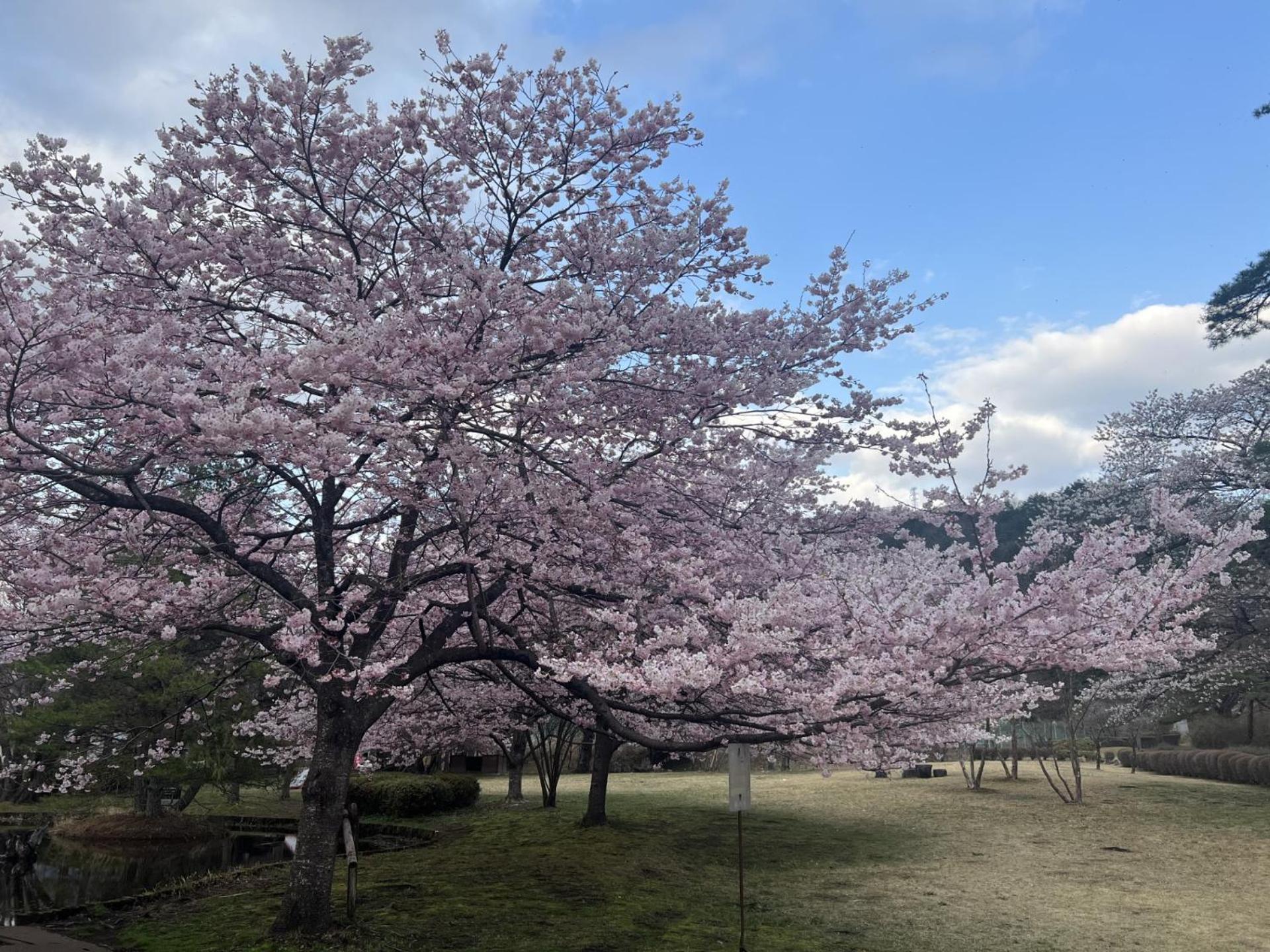 Kinugawa Keisui Hotel Нико Екстериор снимка