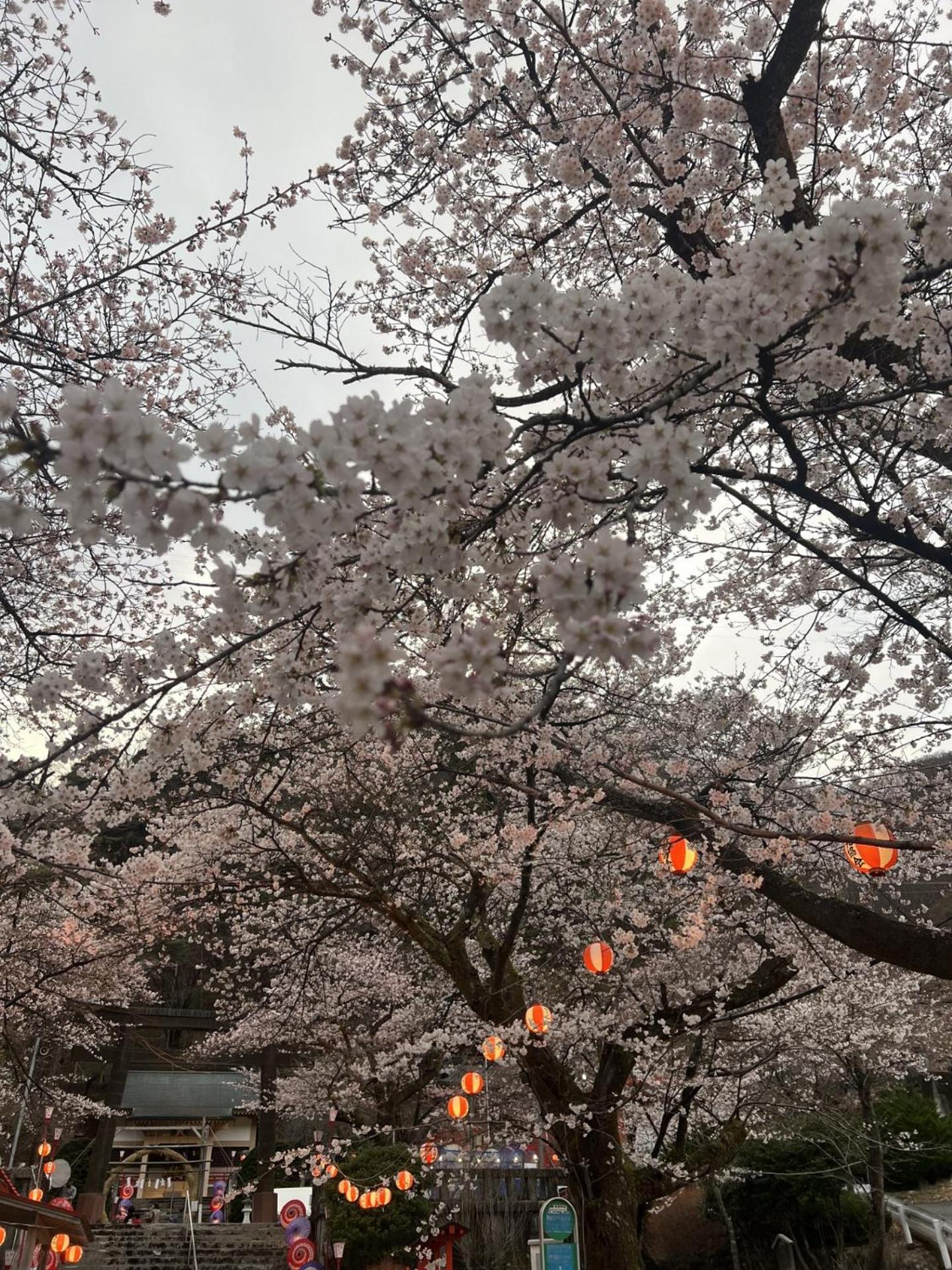 Kinugawa Keisui Hotel Нико Екстериор снимка